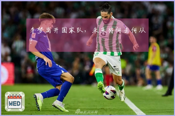 李梦离开国家队，未来将何去何从？